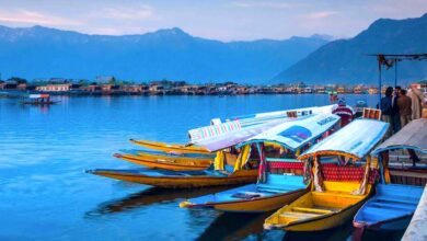 Kashmir Tour Packages