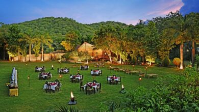 Ranthambhore forest resort